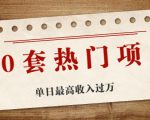 30套热门项目：单日最高收入过万 (网赚项目、朋友圈、涨粉套路、抖音、快手)等-项目资源库