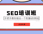 SEO培训班课程，手把手教你做出一个权重6的例站，价值8000元-项目资源库