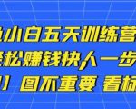 卓让闲鱼小白五天训练营，每天一小时，轻松赚钱快人一步-项目资源库