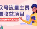 公众号流量主暴利撸收益项目，空闲时间操作单人月入过万-项目资源库