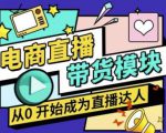 大鹏·电商直播带货课，系统学习直播带货各环节技巧和套路-项目资源库