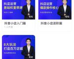 湛北·抖音小店入门进阶高阶合集，八大玩法打造百万店铺-项目资源库