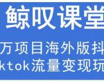 鲸叹号·海外TIKTOK训练营，百万项目海外版抖音tiktok流量变现玩法-项目资源库