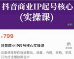 抖音商业IP起号核心实操课，带你玩转算法，流量，内容，架构，变现-项目资源库