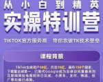 Seven漆·2022Tiktok从小白到精英实操特训营，带你掌握Tiktok账号运营-项目资源库