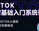Tiktok实操进阶课程，体验从tiktok小透明到大佬的完美蜕变-项目资源库
