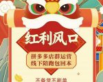 左右电商拼多多无货源店群玩法：从0~1，36节实战保姆教程，​极速起店必出单-项目资源库