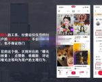 麦子互娱短视频带货·0基础做好物分享账号，无需出镜无需货源无需拍摄-项目资源库