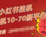 视频号小红书抖音挂机项目，小白无脑操作，按照要求来，单号每天几十米-项目资源库