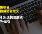 虚拟图集项目：矩阵站群自动化成交，3-5个月实现快速赚钱月入1W+左右-项目资源库