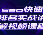 seo快速排名实战讲解视频课程，揭秘seo快排原理-项目资源库