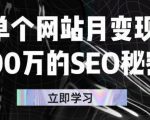 单个网站月变现100万的SEO秘密，百分百做出赚钱站点-项目资源库