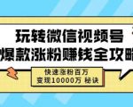 玩转微信视频号爆款涨粉赚钱全攻略，快速涨粉百万变现万元秘诀-项目资源库