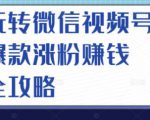 玩转微信视频号爆款涨粉赚钱全攻略，让你快速抓住流量风口，收获红利财富-项目资源库