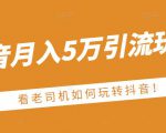 老古董·抖音月入5万引流玩法，看看老司机如何玩转抖音(附赠：抖音另类引流思路)-项目资源库