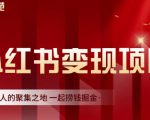 渣圈学苑·小红书虚拟资源变现项目，一起捞钱掘金价值1099元-项目资源库