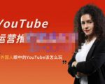 外国人眼中的YouTube该怎么玩？Elisa·YouTube运营推广实战技巧-项目资源库
