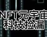 【元本空间sky七级空间唯一ibox幻藏等】NTF捡漏合集【抢购脚本+教程】-项目资源库