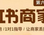 贾真-小红书商家营第6期商家版,21天带货陪跑课,让商家丢掉付流量-项目资源库