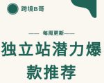 【跨境B哥】独立站潜力爆款选品推荐，测款出单率高达百分之80-项目资源库