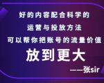 张sir账号流量增长课，告别海王流量，让你的流量更精准-项目资源库
