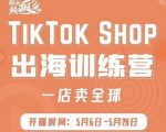 疯人院:TikTok Shop出海训练营（一店卖全球)，出海抢占全球新流量-项目资源库