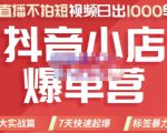 推易电商·2022年抖音小店爆单营，不直播、不拍短视频、日出1000单，暴力玩法-项目资源库
