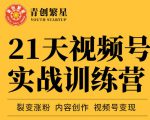 张萌21天视频号实战训练营，裂变涨粉、内容创作、视频号变现 价值298元-项目资源库