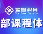 星雪教育淘系高级班，更全的运营提升方案，零基础由浅入深，店铺最新玩法-项目资源库