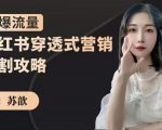 苏歆：小红书穿透式营销收割攻略，引爆流量，助你玩转小红书-项目资源库