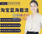 2022淘宝蓝海截流攻略,淘宝蓝海截流选品上货实操讲解-项目资源库