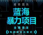 引流哥蓝海暴力躺赚项目:无需发圈无需引流无需售后,每单赚50-500(教程+线报群)-项目资源库