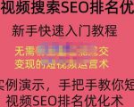 宋老师·短视频搜索SEO优化，教你10分钟创作一个短视频，三天排名上第一-项目资源库