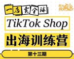 TikTokShop出海训练营（第十三期），打开全球流量新思维，出海抢占全球新流量，一店卖全球-项目资源库