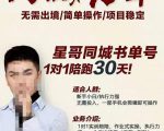 星哥同城教育书单号课程,无需出境简单操作项目稳定-项目资源库