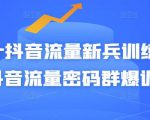Peter抖音流量新兵训练营-破解抖音流量密码群爆训练营（新兵）-项目资源库
