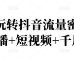 2022玩转抖音流量密码，(直播+短视频+千川)-项目资源库