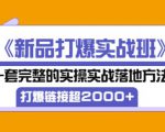 凌童《新品打爆实战班》,一套完整的实操实战落地方法，打爆链接超2000+（28节课)-项目资源库