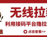 最新接码无限拉新项目，利用接码平台赚拉新平台差价，轻松日赚500+-项目资源库