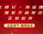 电商大师兄·淘宝搜索新玩法，搜索不刷单也能真正做起来-项目资源库