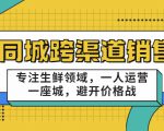 同城跨渠道销售，专注生鲜领域，一人运营一座城，避开价格战-项目资源库