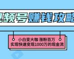 玩转微信视频号赚钱：小白变大咖涨粉百万实现快速变现1000万的现金流-项目资源库