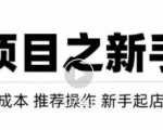 虚拟项目快速起店模式，0成本打造月入几万虚拟店铺！-项目资源库