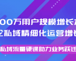 8000万用户规模增长方法论私域精细化运营增长，私域流量硬课助力业务跃迁-项目资源库