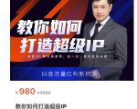 教你如何打造超级IP，抖音流量红利新机遇（价值980元）-项目资源库