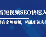 抖音短视频Seo搜索排名优化新手快速入门教程,实体商家短视频,精准引流实操课-项目资源库