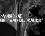 新媒体IP内训营(12期)，一套全新的“公域引流，私域成交”IP打法，直接带走-项目资源库