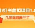 《小红书虚拟项目1.0》账号注册+养号+视频制作+引流+变现,几天就赚两三千-项目资源库