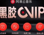 网易云音乐撸黑胶年卡及变现方法,收益可无限放大-项目资源库