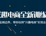 兴趣电商全新训练营：打破品销边界，带你玩转“兴趣电商“实现业务增长-项目资源库
